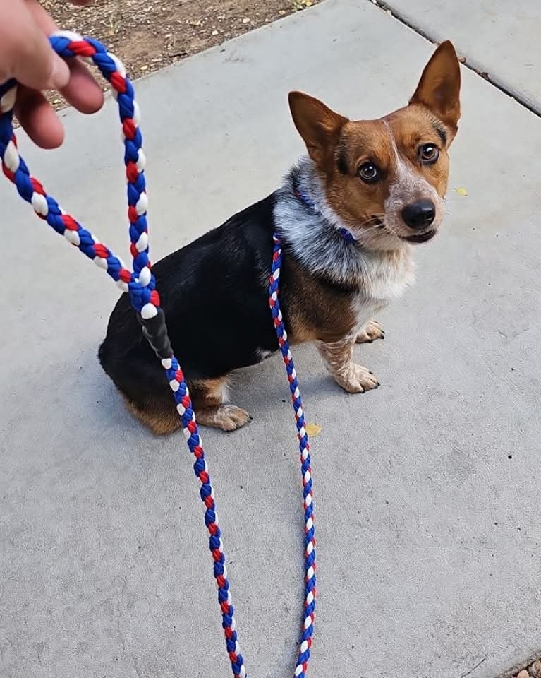 Lead rope
